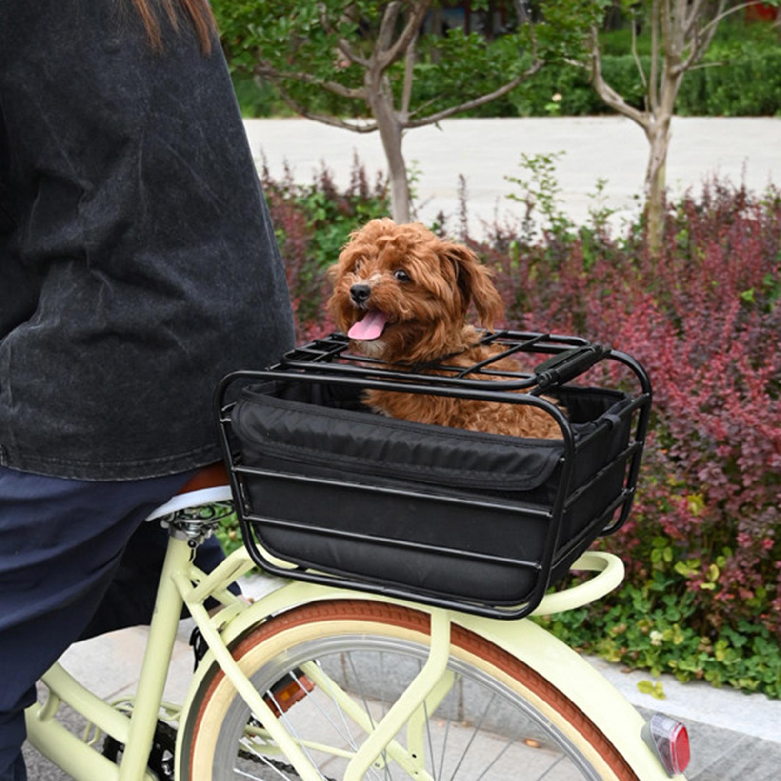 자전거 뒷바구니 헤비듀티 자전거 뒷좌석 정리함 애완동물 - Cycling Commuting 리뷰 및 가격